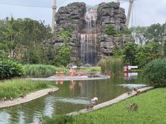 -新加坡飞禽公园
