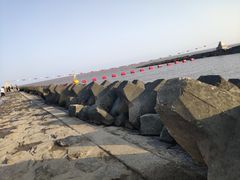 -南汇嘴观海公园