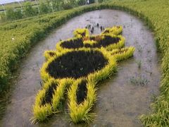 -稻梦空间