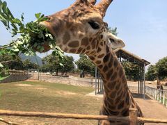 -西安秦岭野生动物园