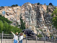 -西霞口神雕山野生动物世界