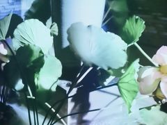 -江南足纪·影院足道·轻奢SPA(笋岗HALO广场店)