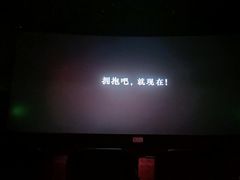 -耀莱成龙影城(领秀城店)