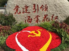 -昆山城市生态森林公园