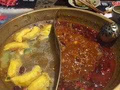 -小龙坎火锅(东汇城店)