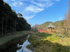 -广州市石门国家森林公园