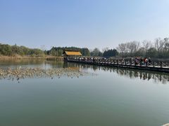-溱湖国家湿地公园