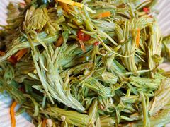 -花菇朵·云山雀 ll 野生菌锅·野果酸汤·精品滇菜(万柳店)