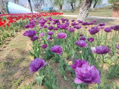 -祥源·阜阳生态乐园