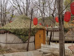 -草根堂农场