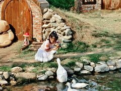 -HERRE·FARM 赫尔露营农场·团建聚会包场