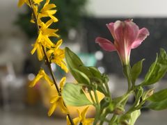 -胡杨记忆(和平路店)