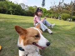 -成都南湖公园