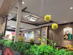 -菌之家·专业纯野生菌火锅·特色炒菌