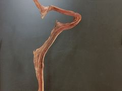 -星云文教馆