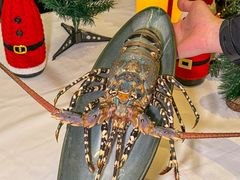 -月下料理(楷林IFC店)