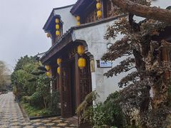 -吴越荣记·苏州菜·松鼠桂鱼(斜塘老街店)