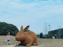 -嘉北郊野公园