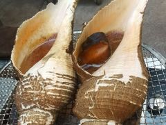 -吴记富苑(朝阳店)