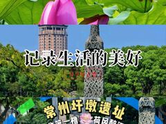 -圩墩遗址公园