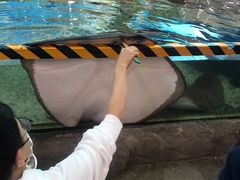 -鸿通城购物中心