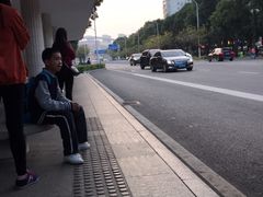 -珠海市体育中心-游泳馆