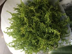 -FEI FEI FLOWER鲜花店·气球派对·宝宝宴布置(虹口德必运动Loft店)
