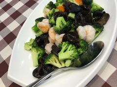 -红星渔村(将军石店)