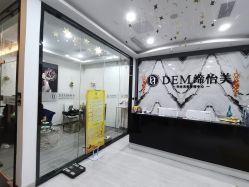 -DEM缔怡美科技美容