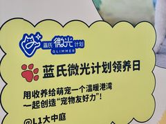 -武汉光谷K11