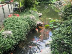 -南京市民俗博物馆(甘熙故居)