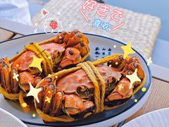 -欢乐蟹庄·精品农家乐(阳澄湖莲花岛店)