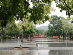-中山市树木园