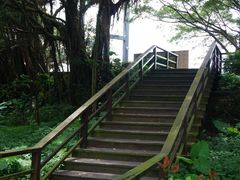 -大湾区中央湿地公园