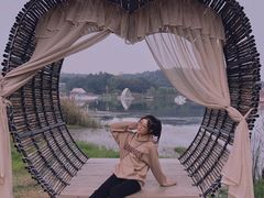 -大塘金香草谷
