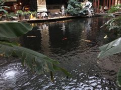 -顺景温泉