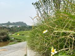 -光明小镇欢乐田园