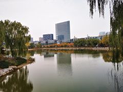 -大兴滨河森林公园