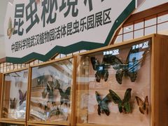 -武汉荟聚