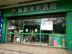 -瑞鹏宠物医院·骨科·猫科·内科(第一中心)