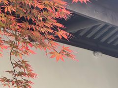 -苏州碑刻博物馆