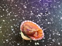 -王庄阿咪海鲜大排档(象园店)