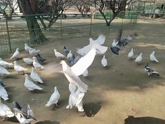 -秀丽东方