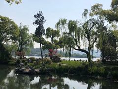 -杭州西湖柳莺里酒店·闻莺厅