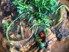 砂锅鱼头-方记六道菜馆(生态公园店)