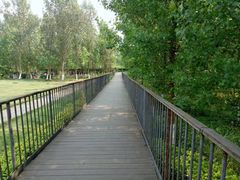 -白鹭湾湿地公园