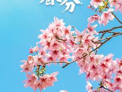 -李连贵熏肉大饼(丰台南路地铁站店)