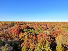 -五角枫生态旅游景区
