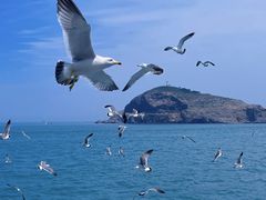 -海驴岛(荣成市)