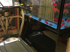 -巴里岛风情咖啡(三原店)